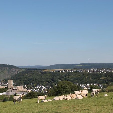 Ferienwohnung Auf Der Moselhoehe - Naehe Koblenz Und Cochem Dieblich Esterno foto