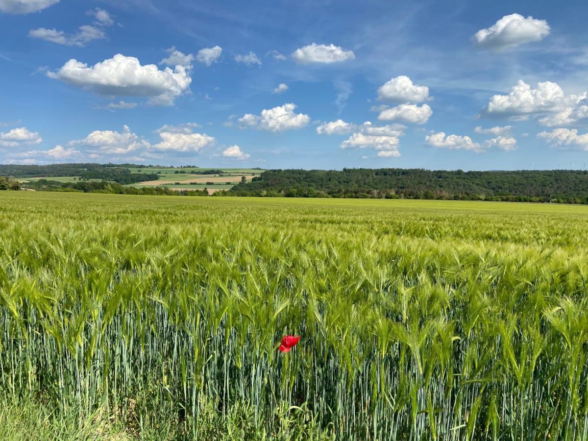 Ferienwohnung Auf Der Moselhoehe - Naehe Koblenz Und Cochem Dieblich Esterno foto