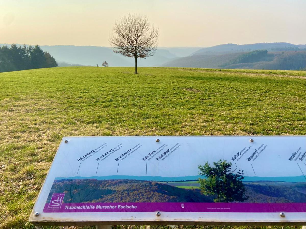 Ferienwohnung Auf Der Moselhoehe - Naehe Koblenz Und Cochem Dieblich Esterno foto