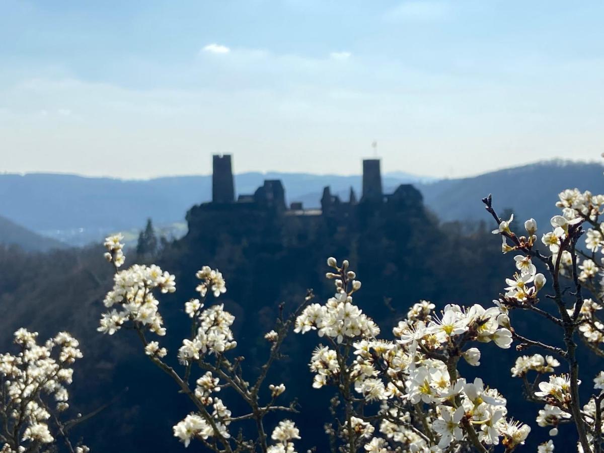 Ferienwohnung Auf Der Moselhoehe - Naehe Koblenz Und Cochem Dieblich Esterno foto