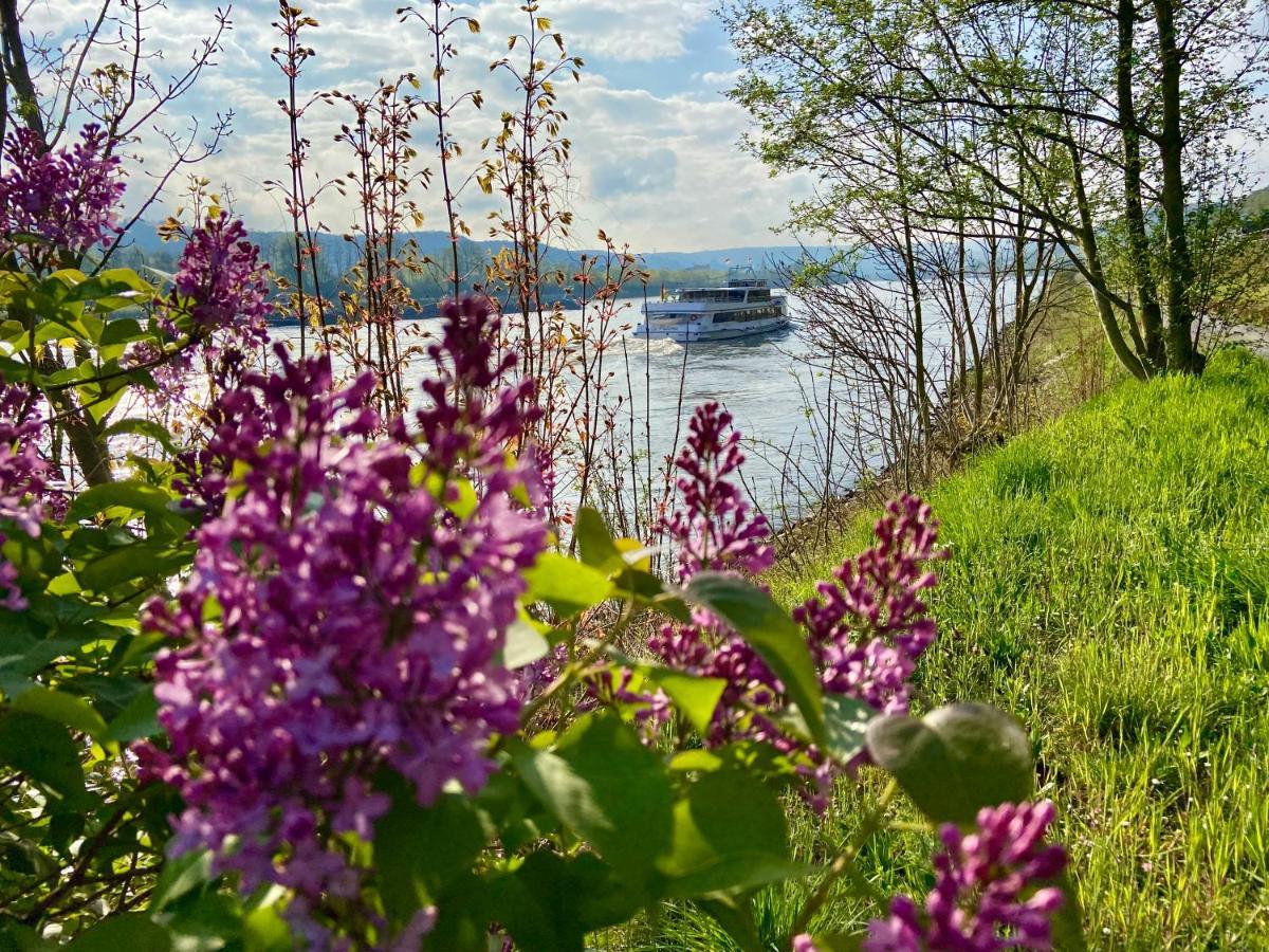 Ferienwohnung Auf Der Moselhoehe - Naehe Koblenz Und Cochem Dieblich Esterno foto