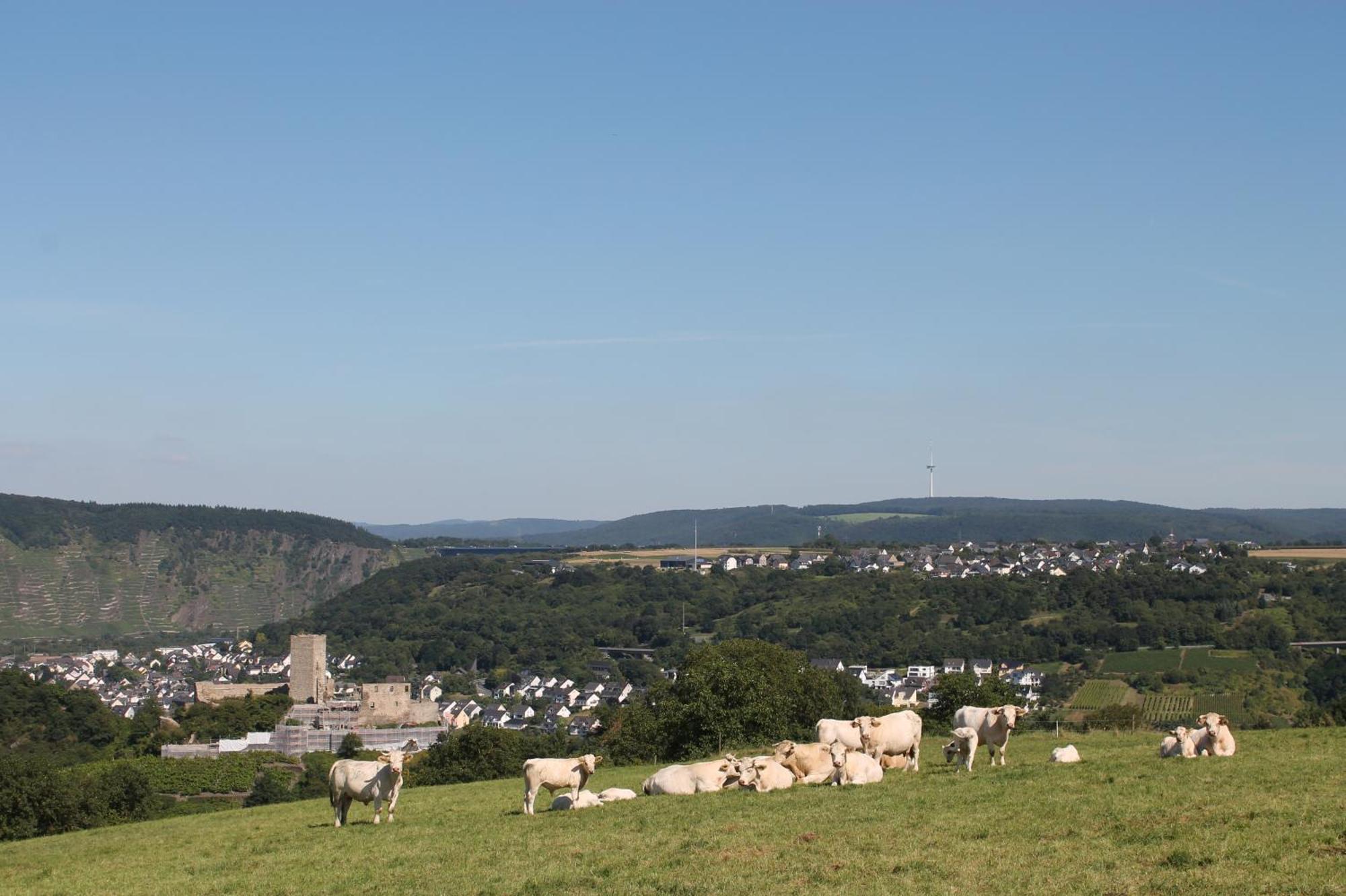 Ferienwohnung Auf Der Moselhoehe - Naehe Koblenz Und Cochem Dieblich Esterno foto