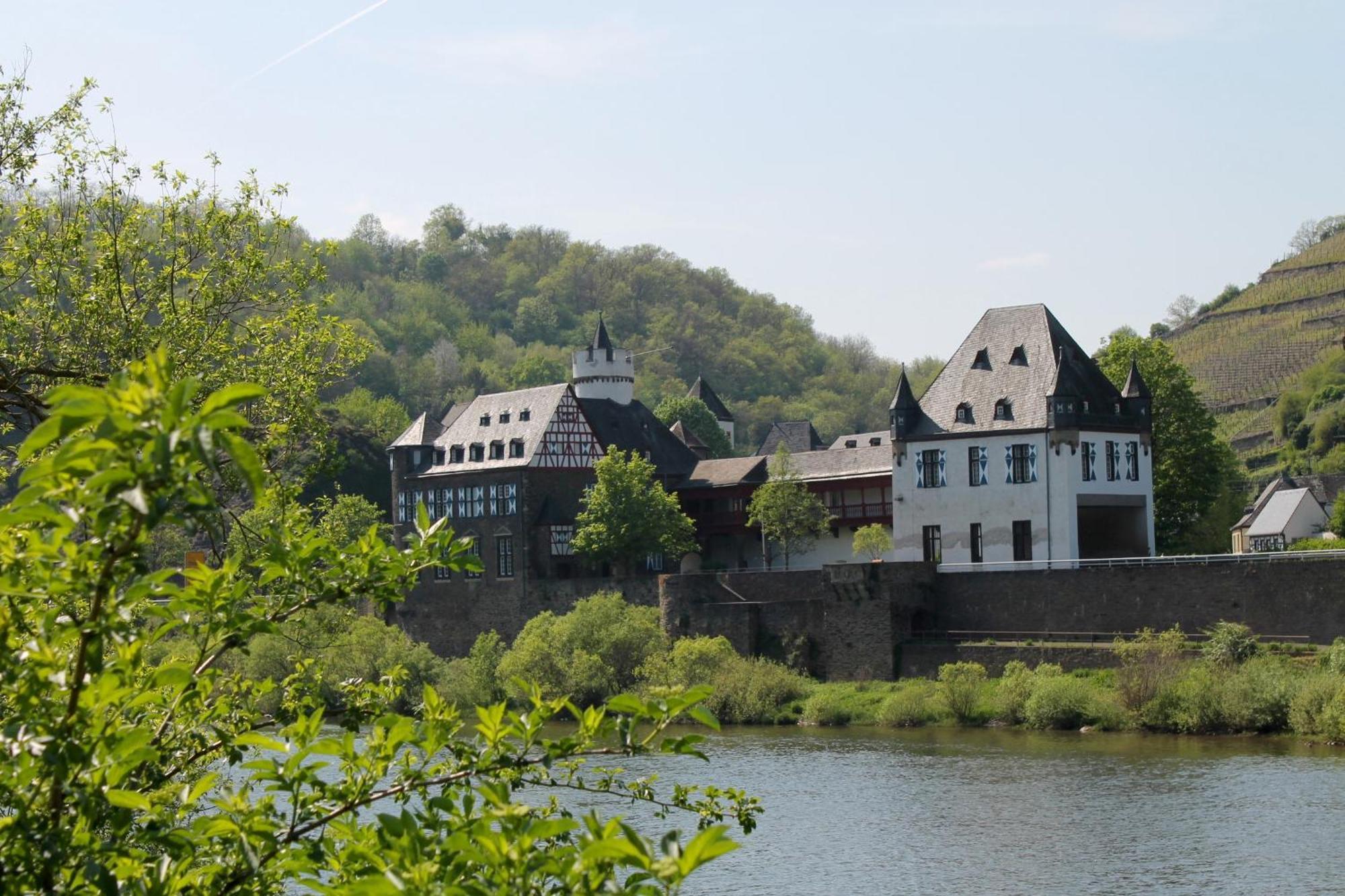 Ferienwohnung Auf Der Moselhoehe - Naehe Koblenz Und Cochem Dieblich Esterno foto