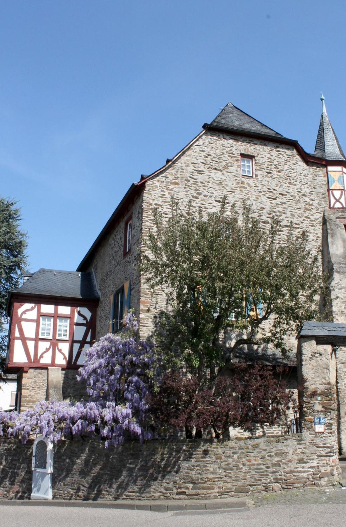 Ferienwohnung Auf Der Moselhoehe - Naehe Koblenz Und Cochem Dieblich Esterno foto