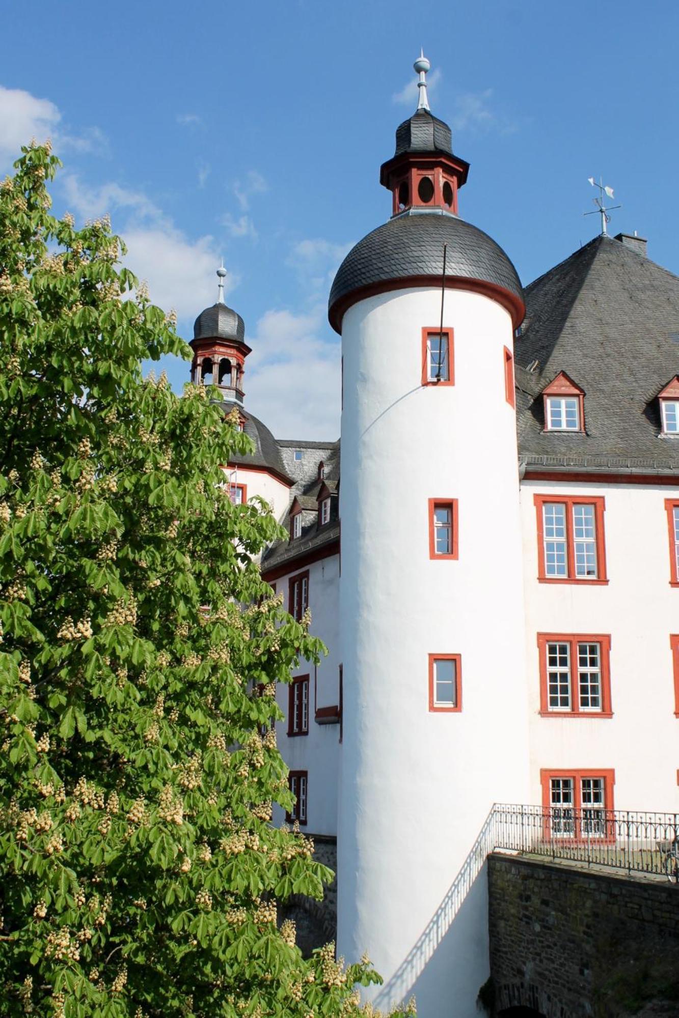 Ferienwohnung Auf Der Moselhoehe - Naehe Koblenz Und Cochem Dieblich Esterno foto