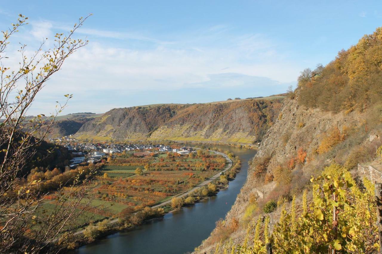 Ferienwohnung Auf Der Moselhoehe - Naehe Koblenz Und Cochem Dieblich Esterno foto