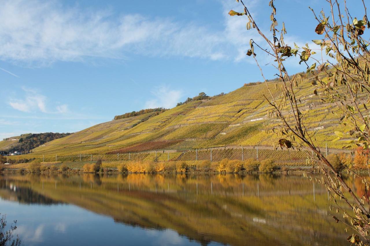 Ferienwohnung Auf Der Moselhoehe - Naehe Koblenz Und Cochem Dieblich Esterno foto