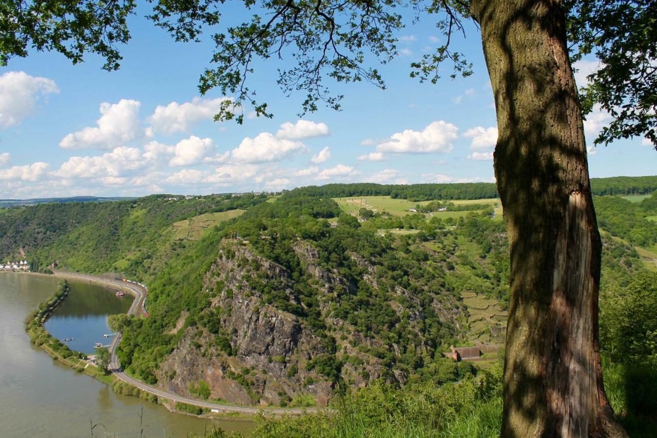 Ferienwohnung Auf Der Moselhoehe - Naehe Koblenz Und Cochem Dieblich Esterno foto